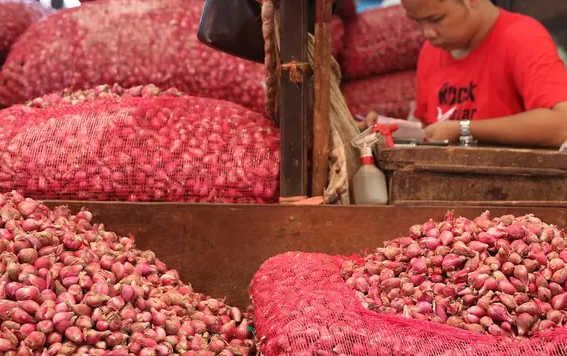stok_bawang_merah_cukup_hingga_lebaran