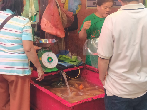 stok_ikan_laut_kosong_harga_ikan_air_tawar_melambung_di_siantar
