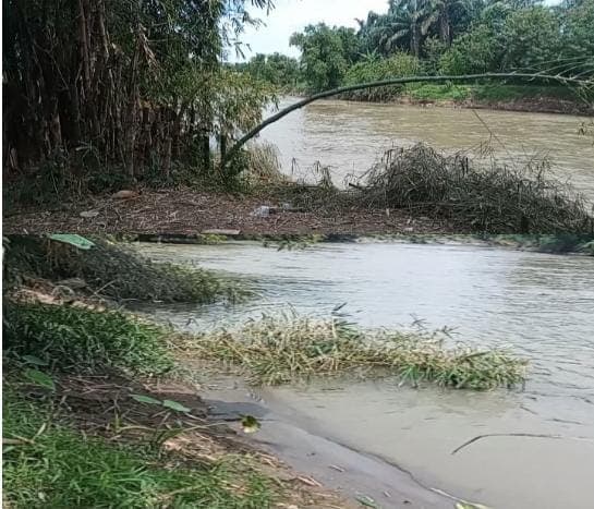 sungai_padang_tebing_tercemar_potongan_pohon_bambu_dan_sampah_mengambang