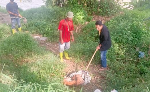 sungai_padang_tebing_tinggi_jadi_tempat_pembuangan_bangkai_ternak