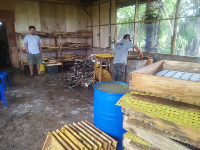tahu_kuning_balige_mengejar_peluang_bisnis_di_masa_pandemi