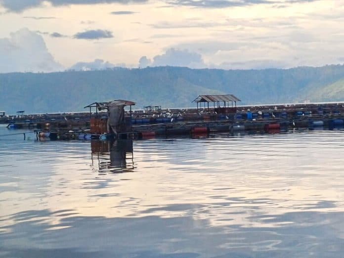 tahun_2024_tao_silalahi_bebas_kja_ini_langkah_pemkab_dairi
