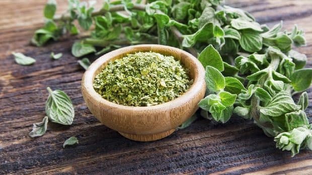 tak_perlu_sedot_lemak_5_daun_ini_bisa_menyelamatkan_kamu