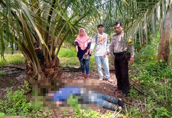 tak_pulang_semalaman_setelah_permisi_kerja_ke_ladang_pria_lansia_ditemukan_tewas
