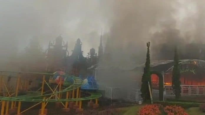 taman_bunga_celosia_di_bandungan_semarang_terbakar_kerugian_rp1_miliar