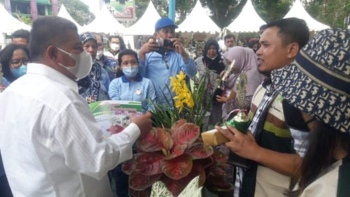 tanaman_aglonema_binjai_juarai_pameran_florikultura_sumut_2022