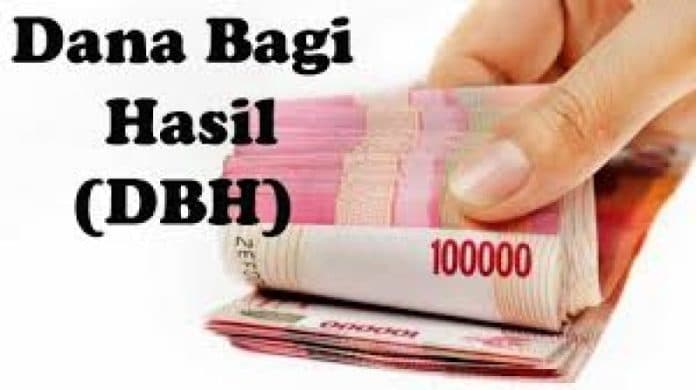 tanggapan_pengamat_anggaran_terkait_selisih_dbh_perlunya_keterbukaan_publik