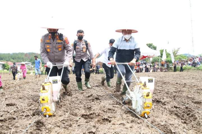 taput_gelar_vaksinasi_massal_dan_penanaman_pohon_untuk_ketahanan_pangan