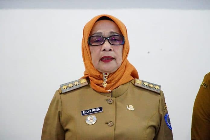 target_penurunan_stunting_di_labuhanbatu_belum_tercapai
