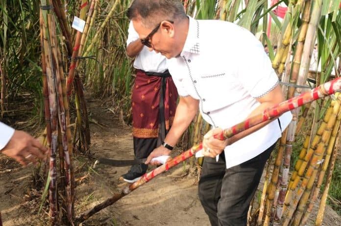 tebang_perdana_tebu_2024_target_407_ribu_ton