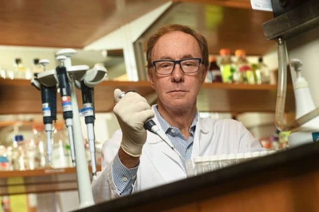 temuan_para_ilmuwan_eidd_2801_obat_baru_untuk_sembuhkan_covid_19