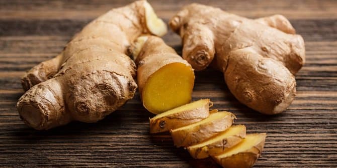 temulawak_sedang_dipertimbangkan_jadi_obat_herbal_setara_ginseng