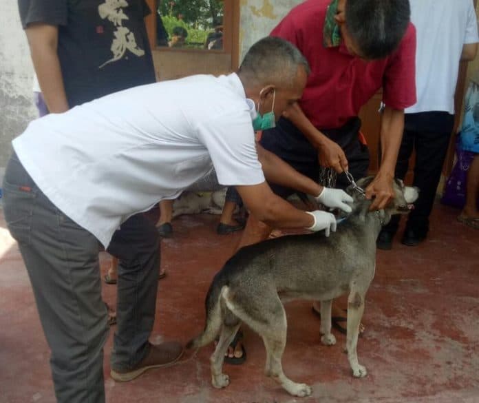 terhitung_januari_juli_2023_kasus_gigitan_hewan_penular_rabies_di_sumut_sebanyak_3888