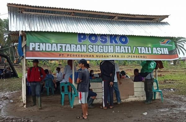 terkait_dana_dianggarkan_untuk_suguh_hati_di_siantar_ini_kata_ptpn_3_kebun_bangun