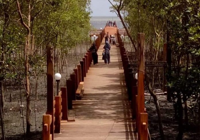 terkait_pembangunan_jalan_produksi_perikanan_di_perupuk_ini_kata_plt_kadis_perikanan