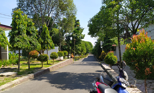terkait_penebangan_pohon_di_smkn_2_siantar_kepsek_bilang_begini