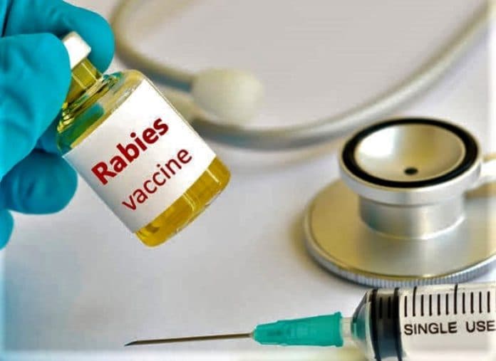 tersedia_500_vaksin_rabies_di_simalungun_jika_butuh_hewan_peliharaan_disuntik_lapor_pangulu