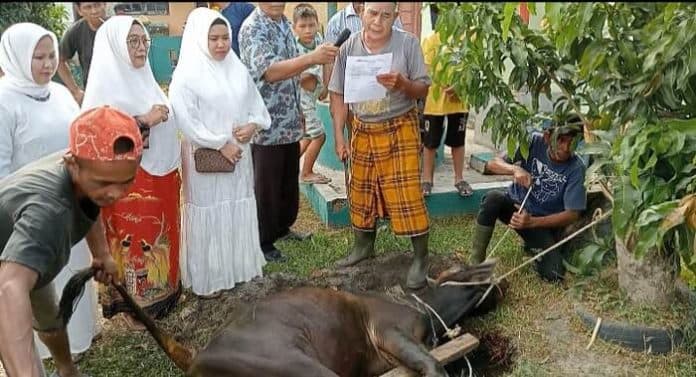 tiap_tahun_warga_bsp_desa_pasar_melintang_berbagi_kurban_kali_ini_10_ekor_hewan