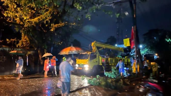 tidak_ada_korban_jiwa_dalam_peristiwa_pohon_tumbang_di_medan_johor