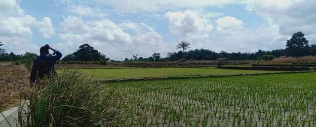 tidak_dapat_pupuk_sesuai_rdkk_lapor_ppl_dan_penyalur