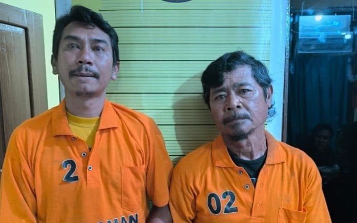 tiga_penyalahguna_ganja_hasil_tanam_sendiri_ditangkap_polres_taput