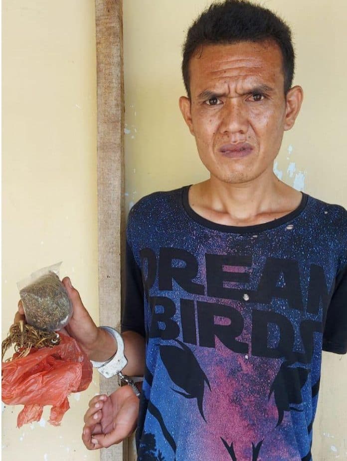 transaksi_ganja_digagalkan_dari_nagori_pamatang_simalungun