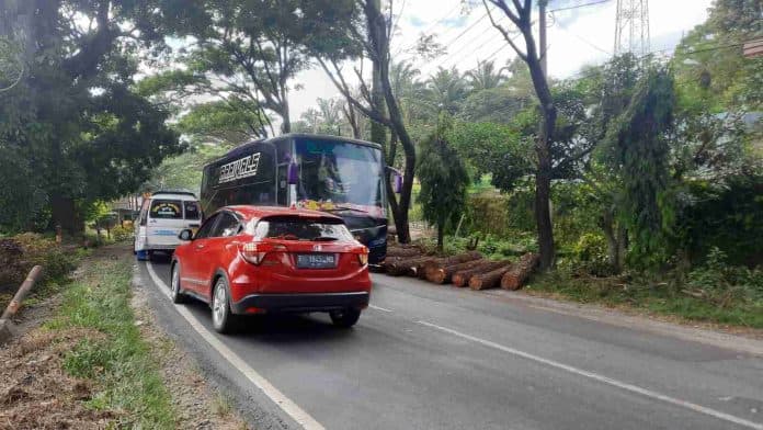 truk_muatan_kayu_pinus_terguling_di_jalan_siantar_parapat