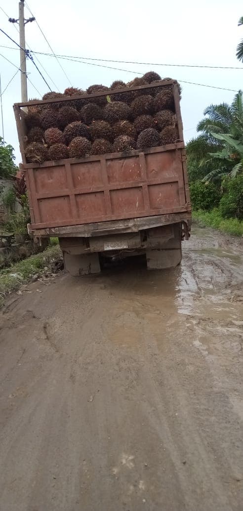 truk_sawit_overtonase_jalan_penghubung_kecamatan_hancur