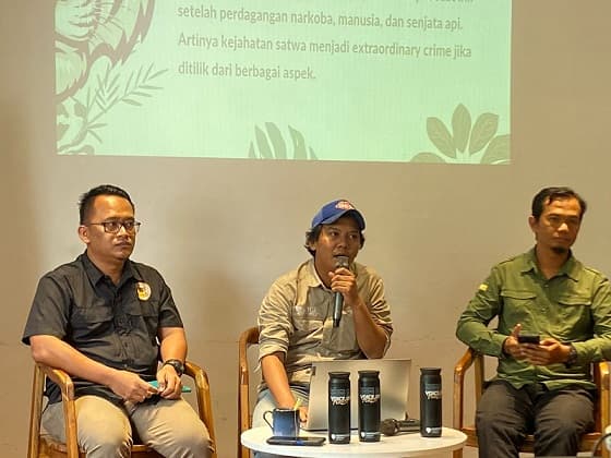 undang_undang_perdagangan_satwa_dilindungi_perlu_direvisi
