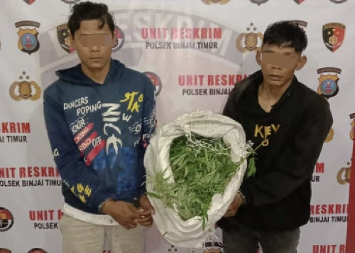 undercover_buy_2_pria_kurir_1_kg_ganja_dibekuk_polres_binjai