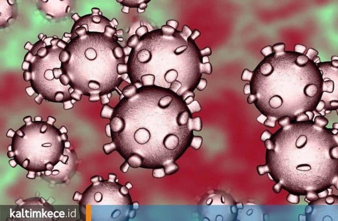update_korona_18_maret_227_kasus_19_meninggal_11_sembuh