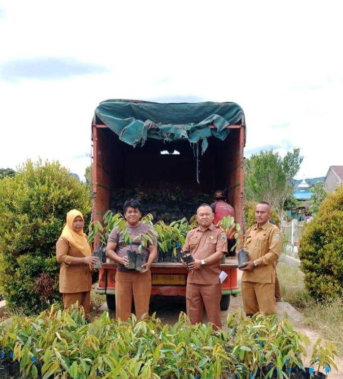 upt_arse_kirim_bibit_jeruk_siam_madu_ke_karo