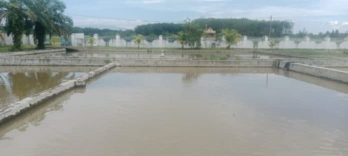 upt_balai_benih_ikan_hatonduhan_sediakan_bibit_ikan_lebih_murah