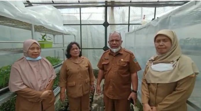 upt_bih_medan_johor_targetkan_40_ribu_bibit_kultur_jaringan