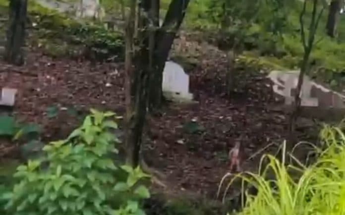video_mirip_tuyul_viral_kapolres_siantar_jika_tidak_benar_penyebar_video_dapat_dikenakan_uu_ite