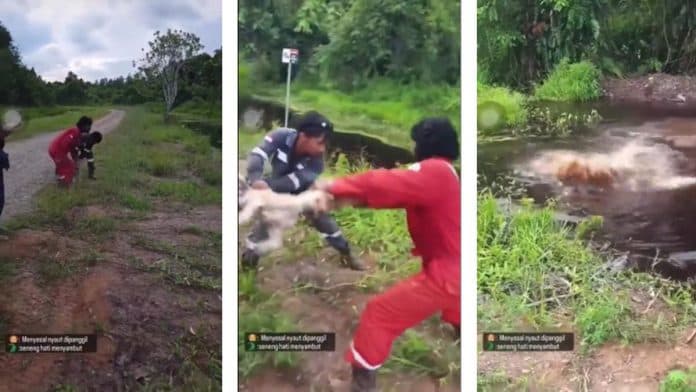 video_viral_anjing_dilempar_hidup_hidup_ke_sungai_penuh_buaya