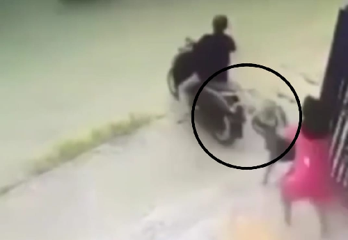 viral_gadis_ini_terseret_mempertahankan_septor_saat_dilarikan_pelaku_curanmor