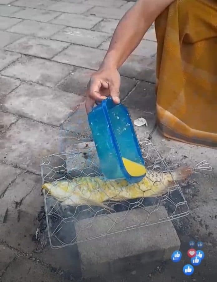 viral_ikan_arwana_super_red_seharga_rp10_juta_berakhir_di_atas_panggangan