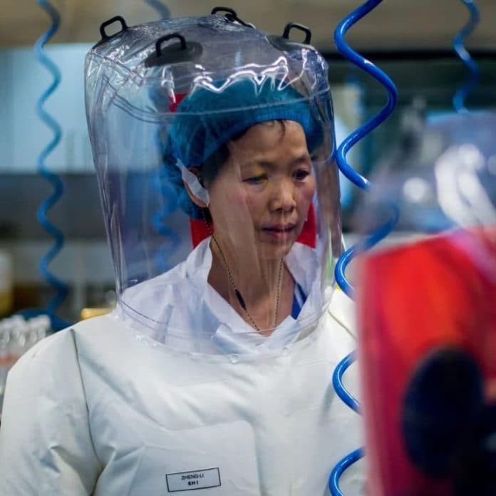 virologis_china_terbitkan_tulisan_evolusi_patogen_virus_corona
