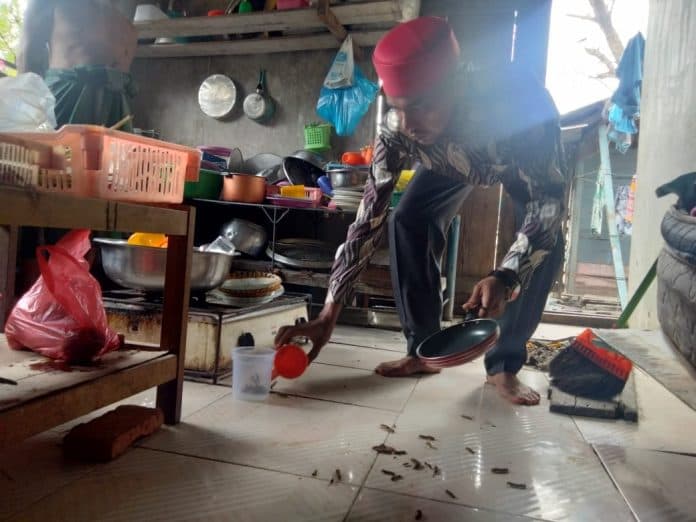 wabah_ulat_bulu_serbu_puluhan_rumah_warga_di_desa_sei_nangka_asahan
