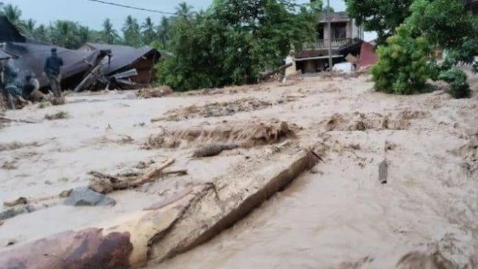walhi_sumut_sebut_illegal_logging_pemicu_banjir_bandang_di_tapsel