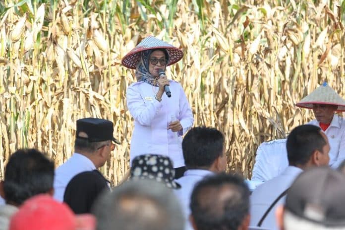 wali_kota_siantar_sebut_sektor_pertanian_erat_hubungannya_ke_loker
