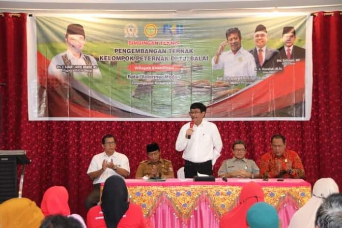 wali_kota_tanjungbalai_hadiri_bimtek_pengembangan_ternak