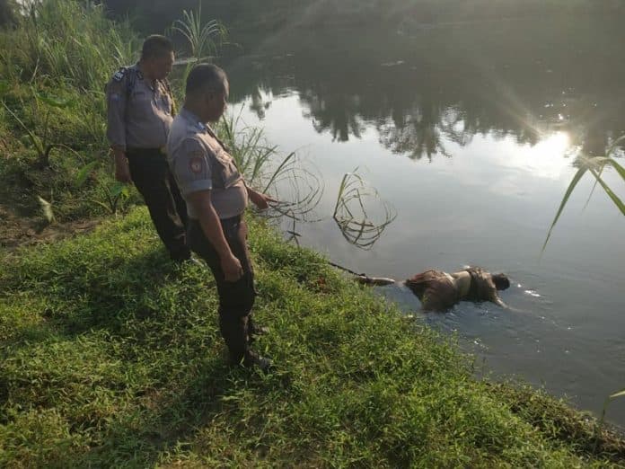 wanita_berbaju_beruang_tewas_mengapung_di_sungai_belumai