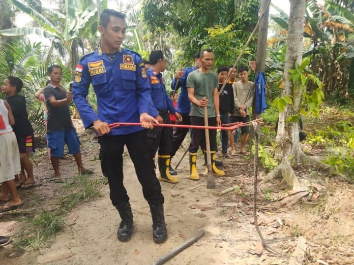 warga_asahan_geger_ditemukan_sarang_ular_kobra_di_desa_rawang