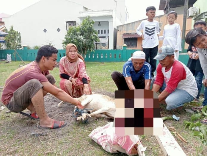 warga_bsp_lubuk_pakam_sembelih_empat_lembu_dan_empat_kambing