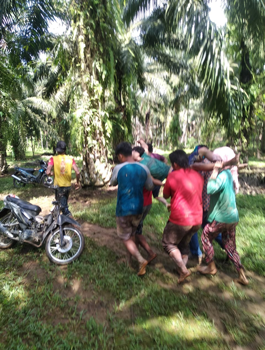 warga_desa_salang_tungir_deli_serdang_tewas_tertimbun_longsor