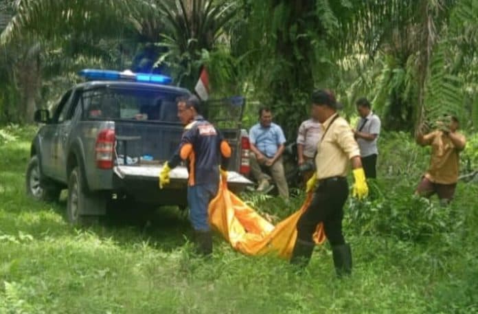 warga_dihebohkan_temuan_mayat_mrx_tunawisma_di_areal_kebun_ptpn3_rambutan