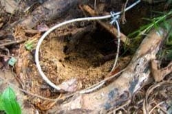 warga_diimbau_tidak_pasang_jerat_dan_gembala_hewan_ternak_di_sekitar_hutan_dolok_panribuan
