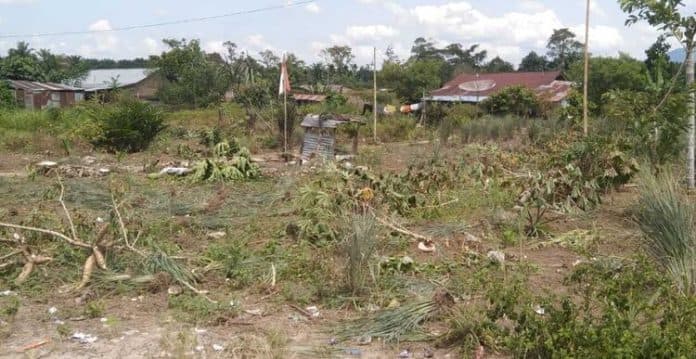 warga_gurilla_demo_tanaman_di_kampung_dirusak_ptpn_iii